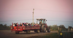 hayride