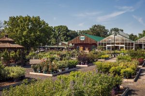 garden center