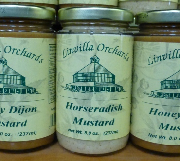 0000479_horseradish-mustard.jpe