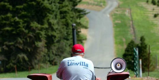 hayrides