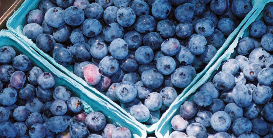 Pick-Your-Own