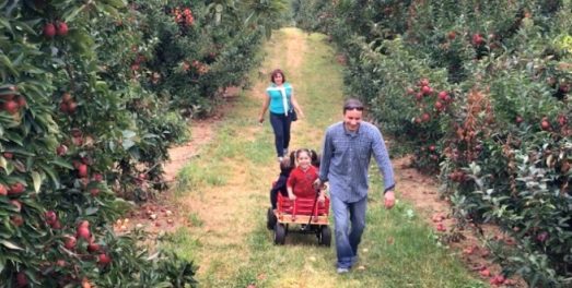 Arts & Craft Festival – Linvilla Orchards