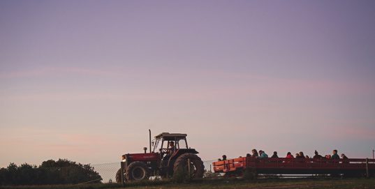 Evening Group Hayrides