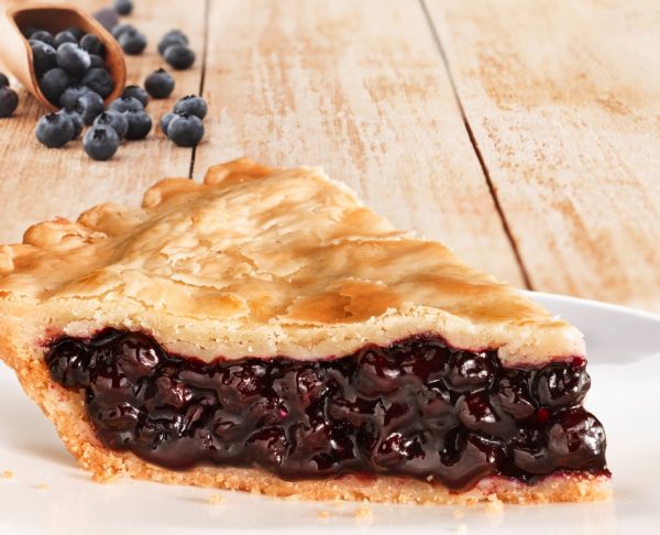 Blueberry9282_HiResProppedwithbackground Pie Bakery