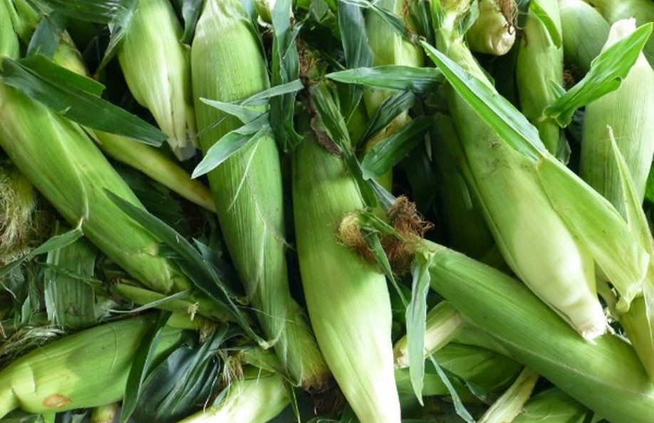 Dozen Corn $5.99