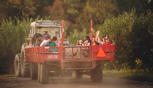 Image result for drive in hay wagon birthday party