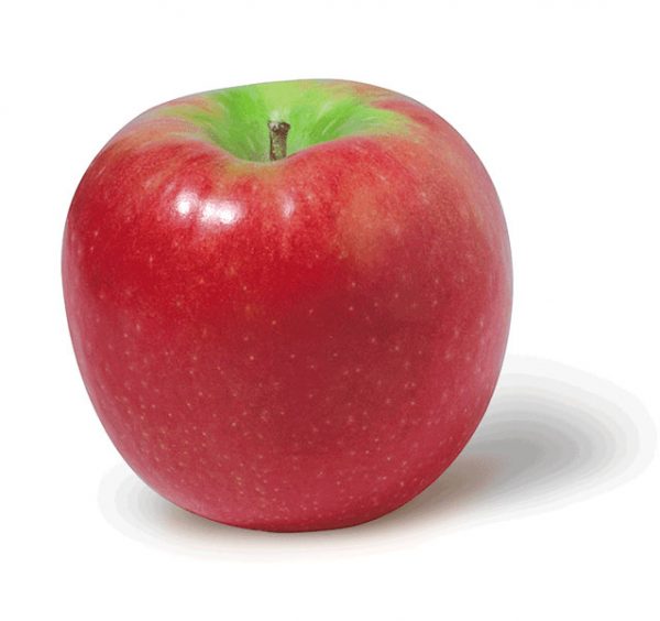 pyo Pink-Lady apple
