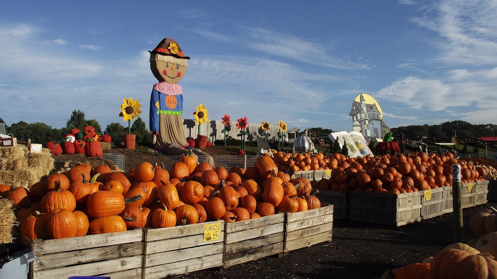 Pumpkinland Linvilla Orchards