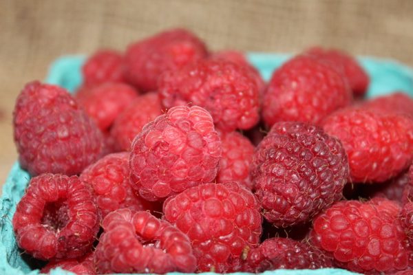 raspberries fruit pyo