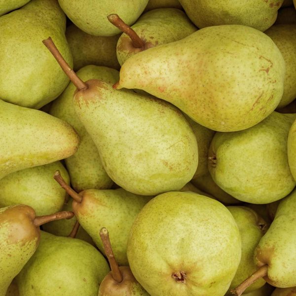 Bartlett Pears pyo