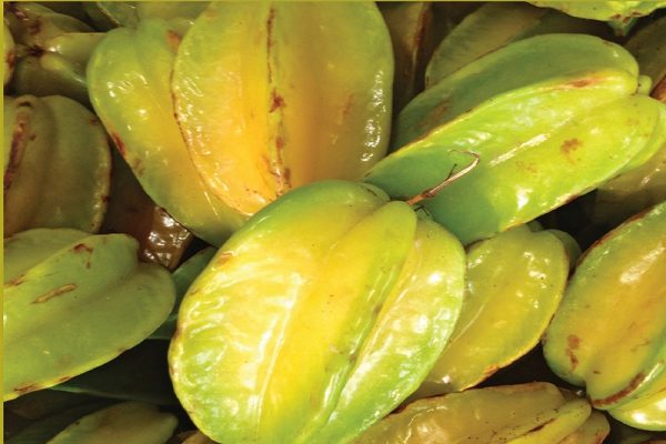 Carambola-Star-Fruit