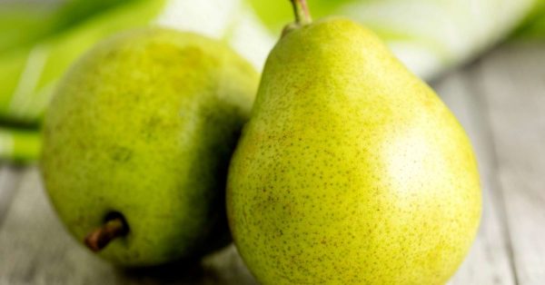 D'Anjou pears pyo