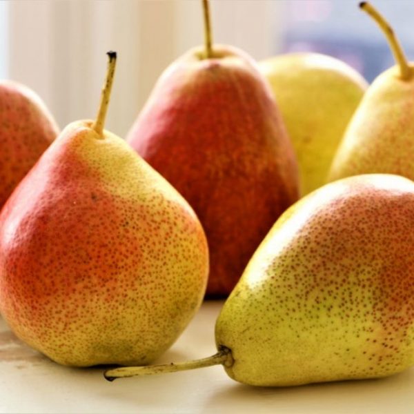 Forelle Pears