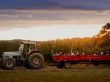 Hayrides