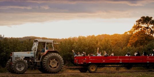 Hayrides