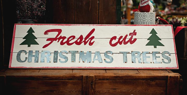 Linvilla orchards cut your own christmas trees