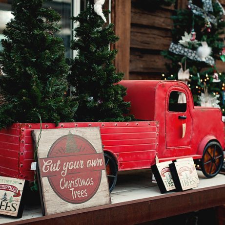 Linvilla orchards cut your own christmas trees
