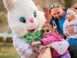 Hayrides to Bunnyland