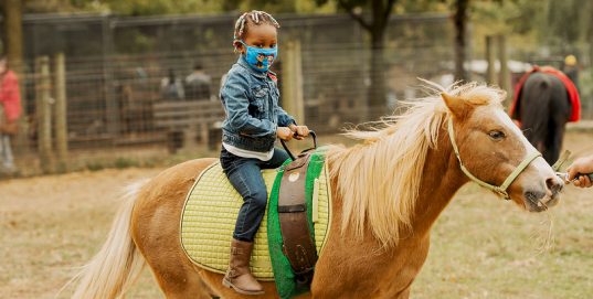 Pony Rides