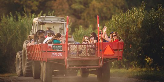 Private Daytime Group Hayrides