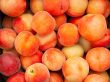 Pick-Your-Own