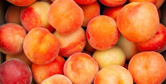Pick-Your-Own