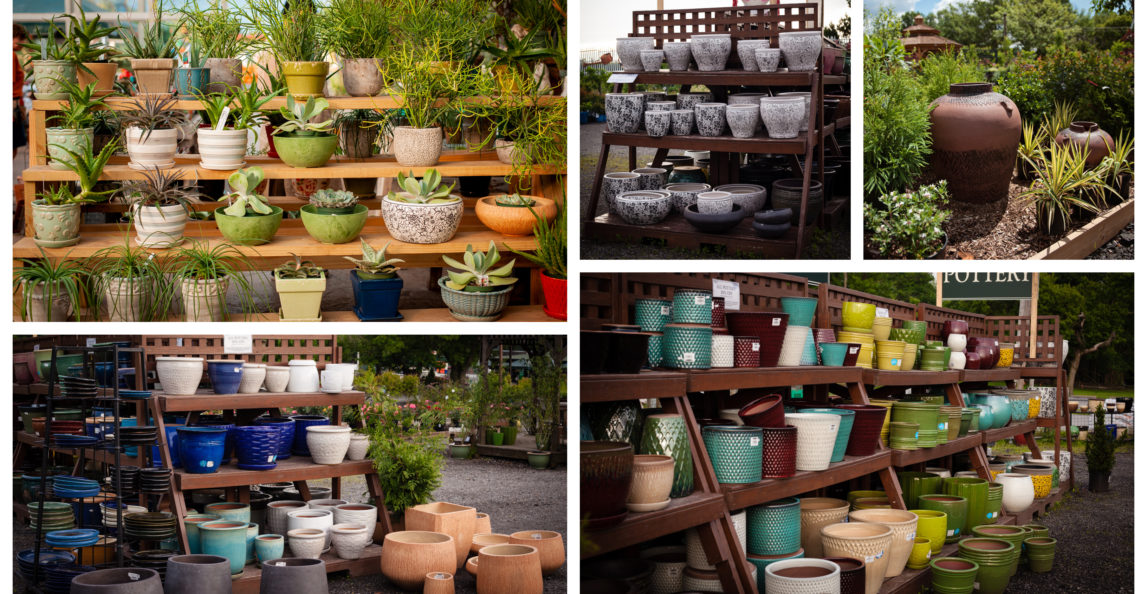 20% off Outdoor Pottery