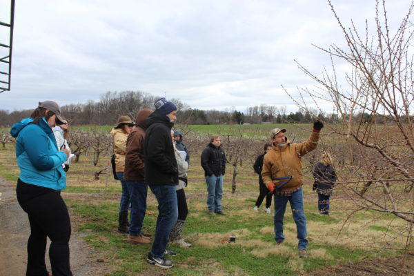Fruit Tree Class