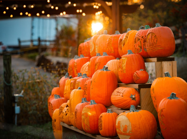 Jack-O-Lantern Exhibit