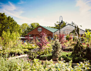 Earth & Arbor Day Specials