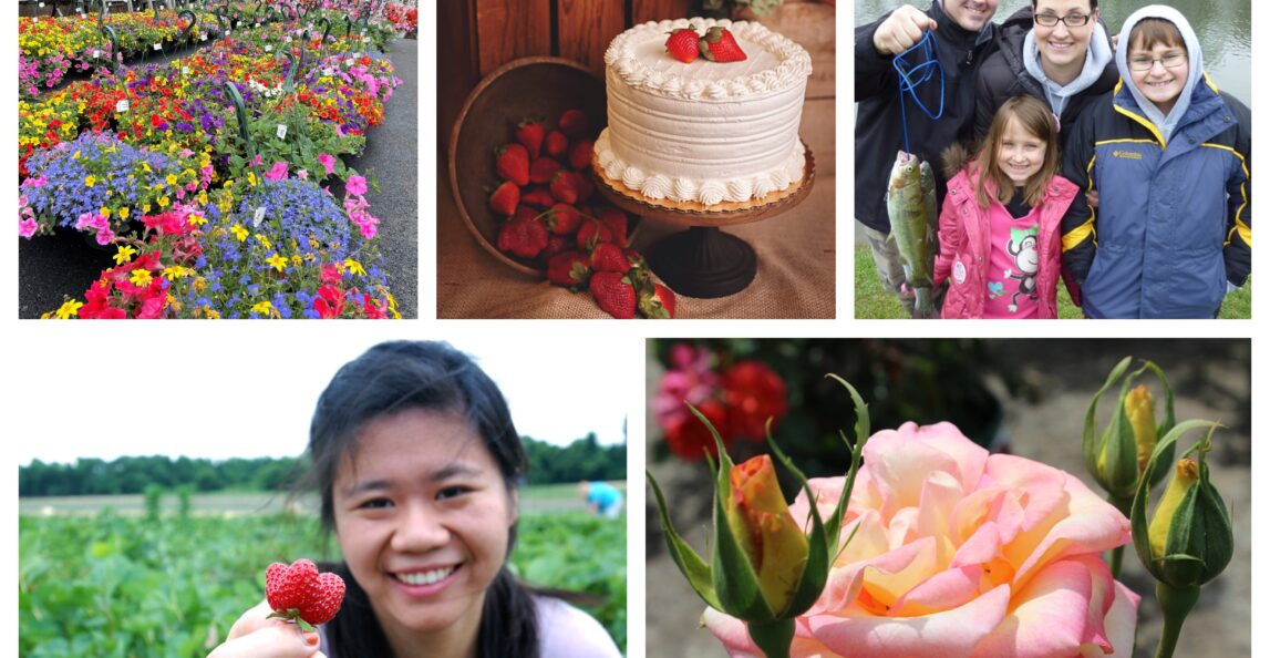 Celebrate Mom!