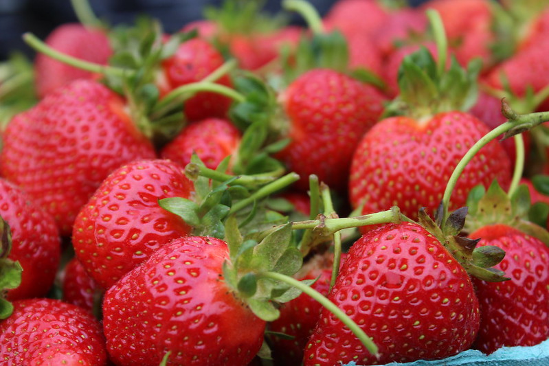 Strawberry Festival