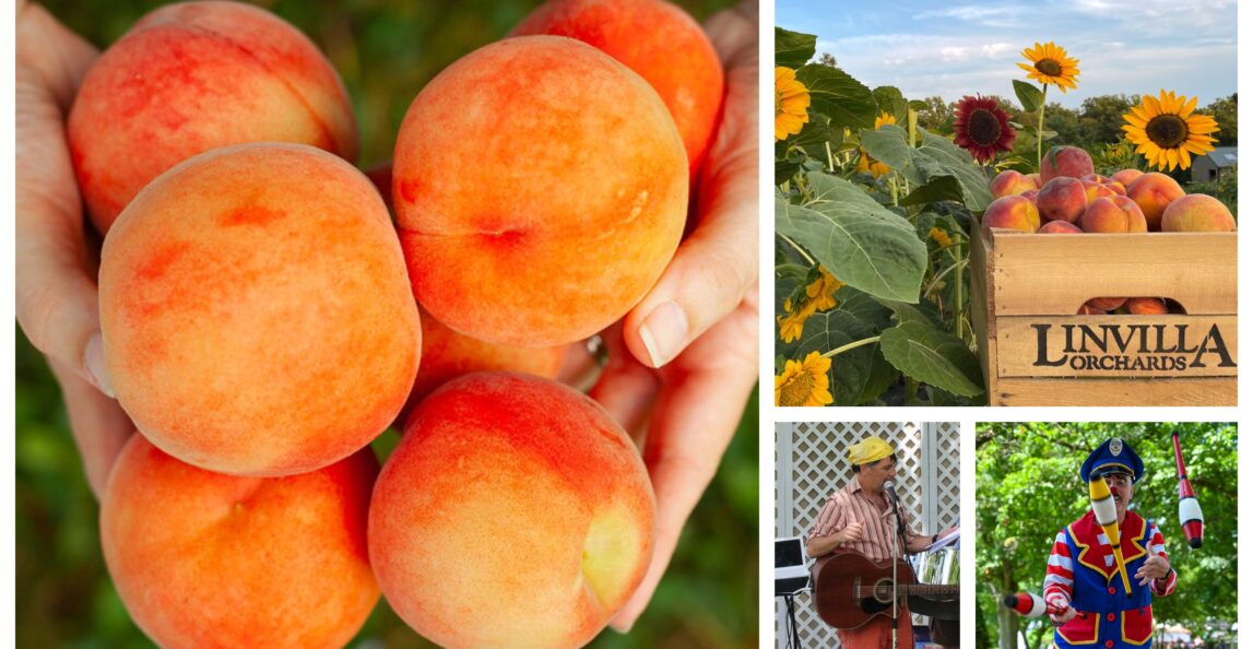 Peach & Sunflower Festival
